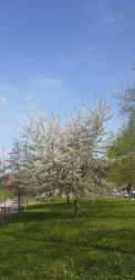 Fotos de la primavera enviadas por los lectores de diariodenavarra.es