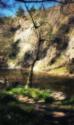 Fotos de la primavera enviadas por los lectores de diariodenavarra.es