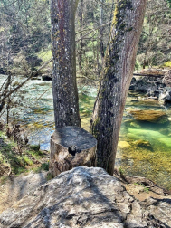 Fotos de la primavera enviadas por los lectores de diariodenavarra.es
