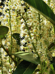 Fotos de la primavera enviadas por los lectores de diariodenavarra.es