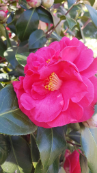 Fotos de la primavera enviadas por los lectores de diariodenavarra.es