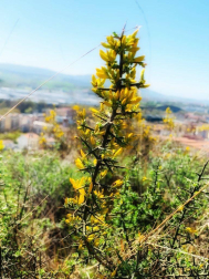 Fotos de la primavera enviadas por los lectores de diariodenavarra.es