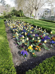 Fotos de la primavera enviadas por los lectores de diariodenavarra.es