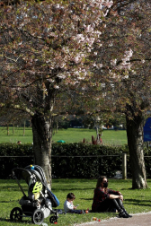 Calor y temperaturas agradables en los primeros día de la primavera en Pamplona.