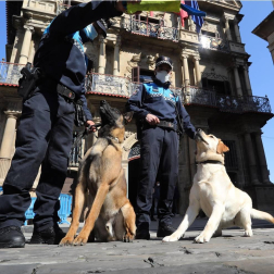 Tyrion y Suri son los dos perros que, junto a dos agentes adscritos al Grupo de Prevención, conforman la Unidad Canina de la Policía Municipal de Pamplona