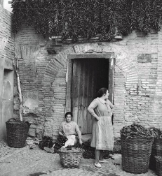 El Ayuntamiento de Pamplona inauguró la muestra en Condestable con fotografías que visibilizan la contribución de las mujeres para mantener en pie la sociedad.