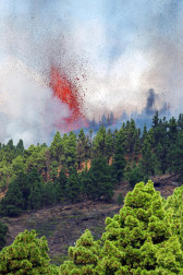 Fotos de la erupción del volcán Cumbre Vieja de La Palma