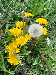 Fotos lectores primavera