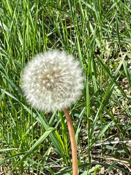 Fotos lectores primavera