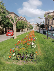 Primavera en Pamplona