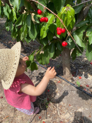 Fotos de la primavera de los lectores. Funes