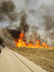 Fotos del incendio producido entre Obanos y Legarda en las cercanías de la localidad de Legarda.