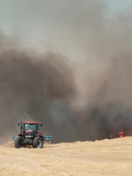 Fotos del incendio producido entre Obanos y Legarda llegando al término municipal de Puente la Reina.
