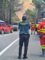 Fotos de los incendios activos en Navarra este domingo.