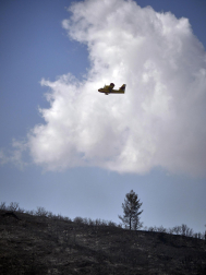 Fotos de los incendios activos en Navarra este domingo.