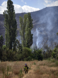 Fotos de los incendios activos en Navarra este domingo.