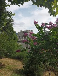 Portal Nuevo de la Taconera.