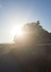 Amaneciendo en Noáin.