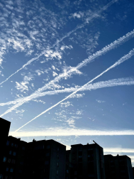 Fotos verano lectores