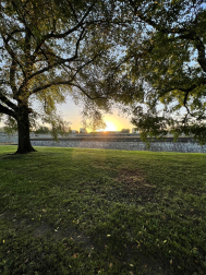 Vuelta del Castillo.