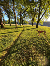 Vuelta del Castillo.