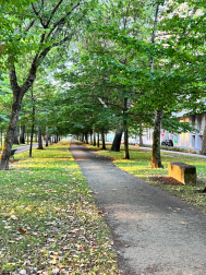 Vuelta del Castillo.