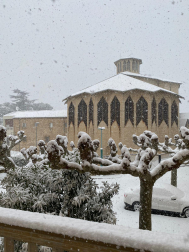 Fotos de la nevada de este lunes en la basílica del Puy de Estella. /