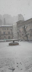 Fotos de la nevada de este lunes en la basílica del Puy de Estella. /