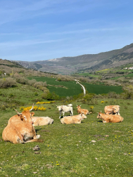 Valle de Ollo. /