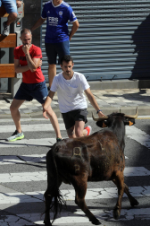 Fotos de las vaquillas en las fiestas de Mutilva./