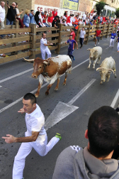 Imagen del primer encierro de las fiestas de Tudela./