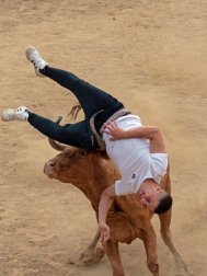 Imagen de las vaquillas en las fiestas de Estella./