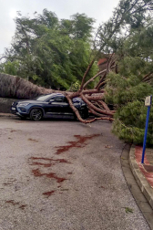 Imagen de los daños de la borrasca Bernard en Andalucía