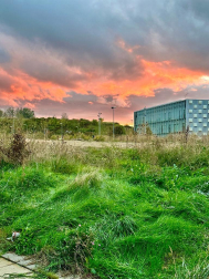 Verde y fuego otoñal junto al Sadar. /