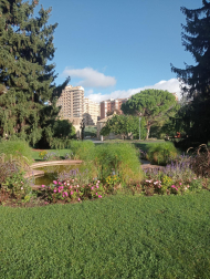 Ciudadela otoñal. /