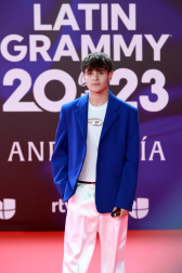 Fotos de la alfombra roja de la gala de los Latin Grammy en Sevilla. /