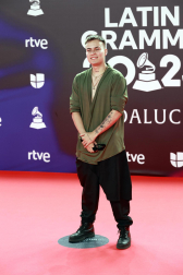 Fotos de la alfombra roja de la gala de los Latin Grammy en Sevilla. /