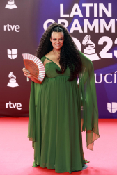 Fotos de la alfombra roja de la gala de los Latin Grammy en Sevilla. /