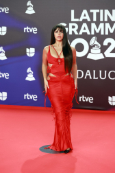 Fotos de la alfombra roja de la gala de los Latin Grammy en Sevilla. /