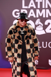 Fotos de la alfombra roja de la gala de los Latin Grammy en Sevilla. /