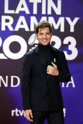 Fotos de la alfombra roja de la gala de los Latin Grammy en Sevilla. /
