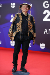 Fotos de la alfombra roja de la gala de los Latin Grammy en Sevilla. /