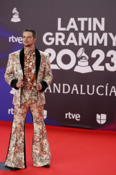 Fotos de la alfombra roja de la gala de los Latin Grammy en Sevilla. /