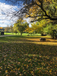 Merendero en Huarte.