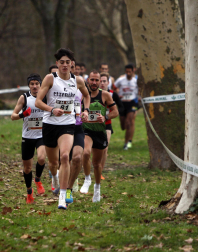 Campeonato Navarro de Cross 2024 en Estella.