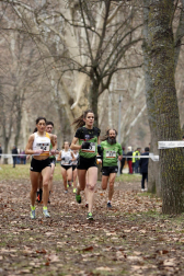 Campeonato Navarro de Cross 2024 en Estella.
