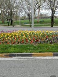 Primavera en la Vuelta del Castillo.
