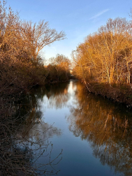 Río Arga, cerca de la Magdalena.