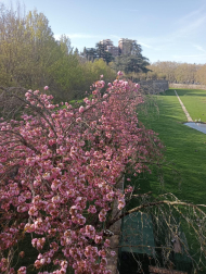 Primavera en la Taconera