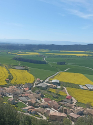 Primavera en Mendaza.